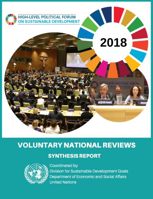 2018 Voluntary National Reviews Synthesis Report