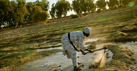 African woman farming