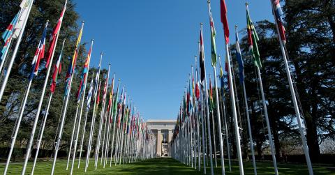  The “Allée des drapeaux” (""Flags Way"") at the Palais des Nations, seat of the UN Office at Geneva (UNOG). UN Photo/Jean Marc Ferré