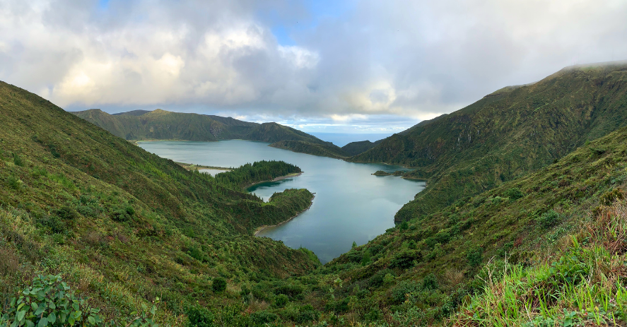 Forest and lake