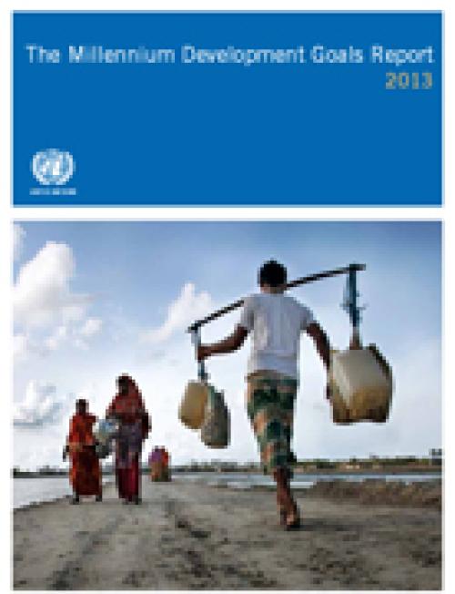 The Millennium Development Goals Report 2013