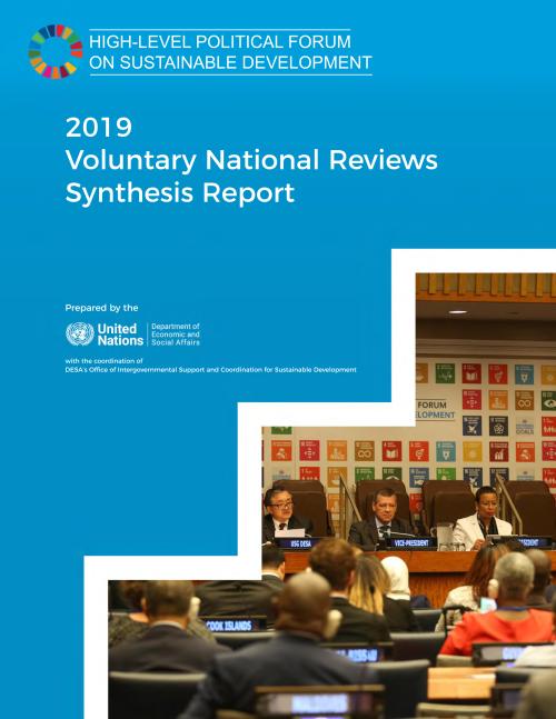 2019 Voluntary National Reviews Synthesis Report
