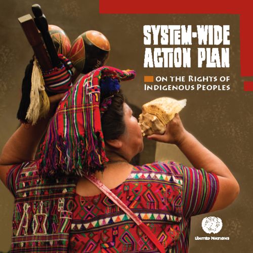 System-wide action plan (SWAP) on the rights of indigenous peoples