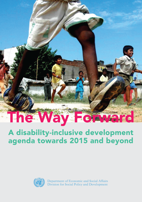 A disability-inclusive development agenda towards 2015 and beyond