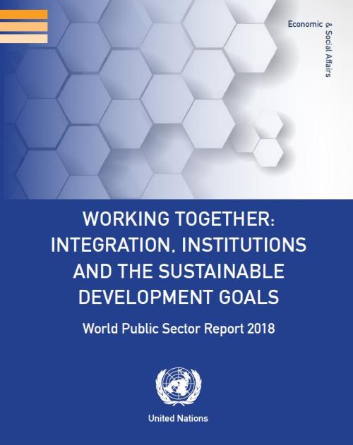 World Public Sector Report 2018