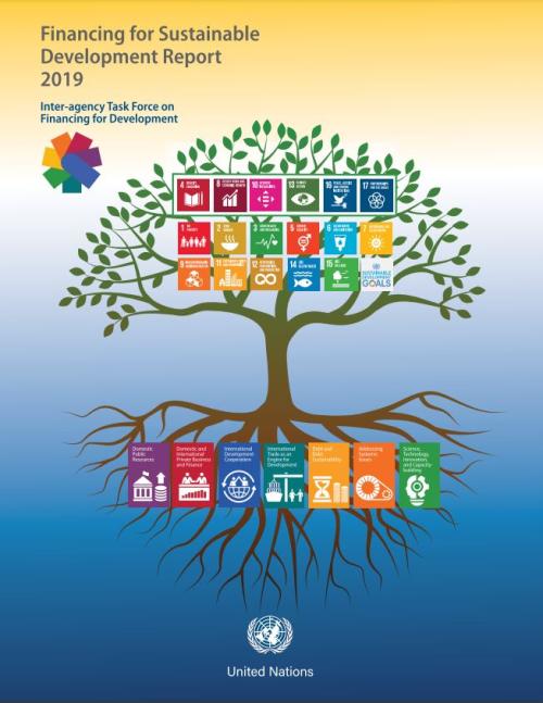Financing for Sustainable Development Report 2019