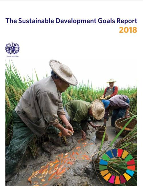 The Sustainable Development Goals Report 2018 | DESA Publications