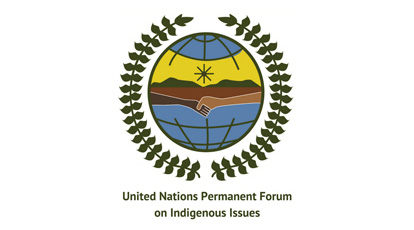 United Nations Permanent Forum on Indigenous Issues